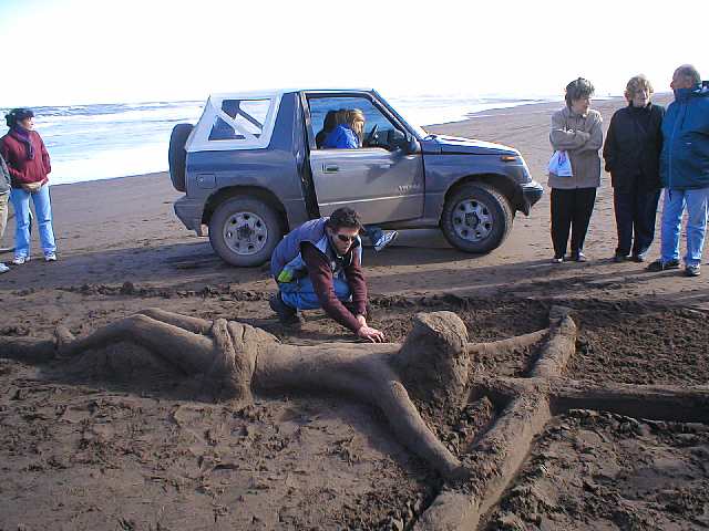 Monte Hermoso