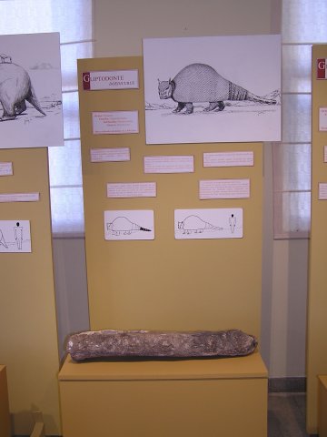 Museo de Ciencias Naturales de Monte Hermoso