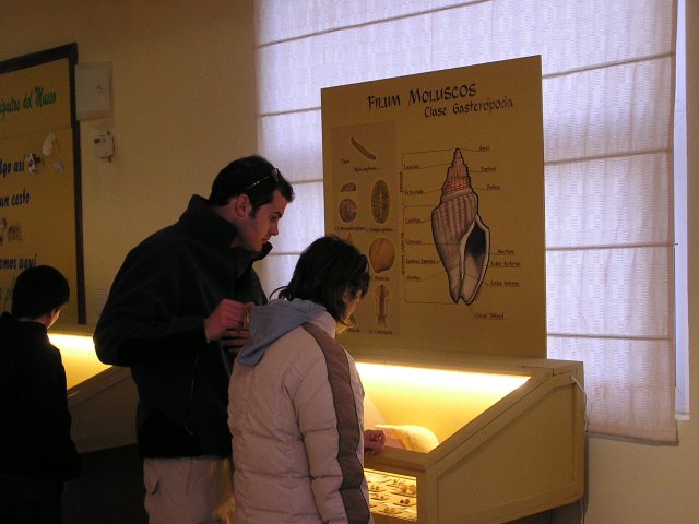 Museo de Ciencias Naturales de Monte Hermoso