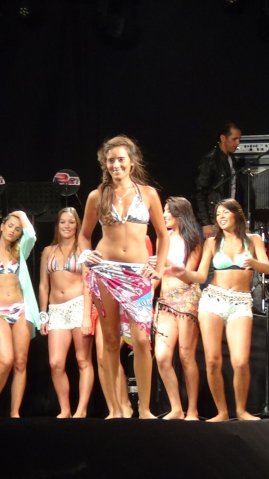 Fiesta del Verano 2015