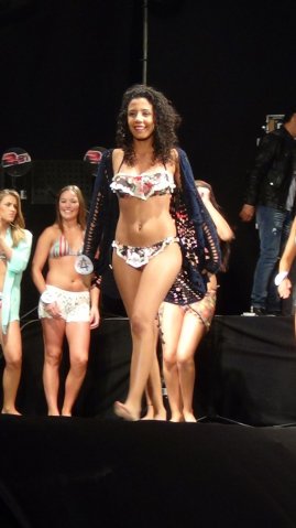 Fiesta del Verano 2015