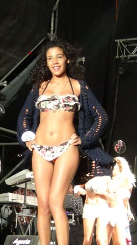 Fiesta del Verano 2015