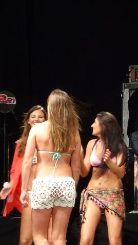 Fiesta del Verano 2015