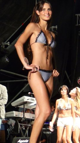 Fiesta del Verano 2015